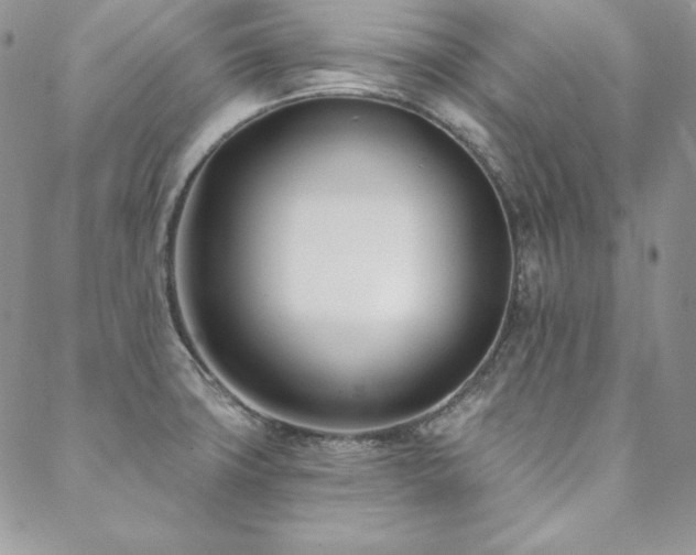 X0000088711427200705311346