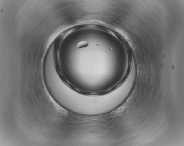 X0000088711430200705311346