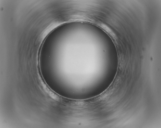X0000088711431200705311347