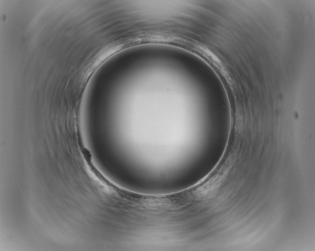 X0000088711433200705311347