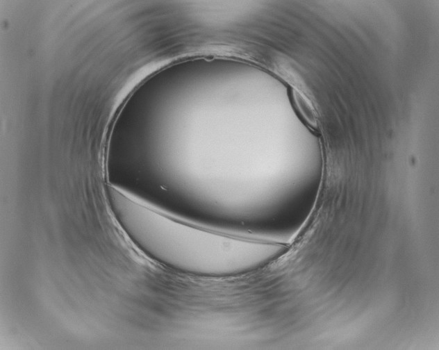 X0000088711436200705311347