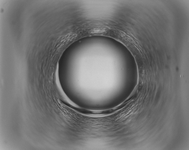 X0000088711441200705311346
