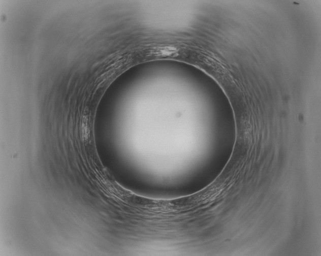 X0000088711442200705311346