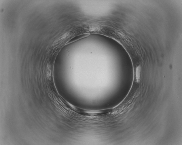 X0000088711443200705311346
