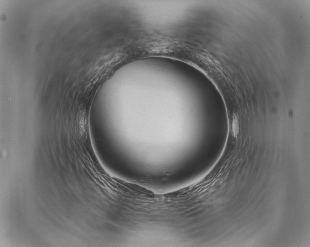 X0000088711444200705311346