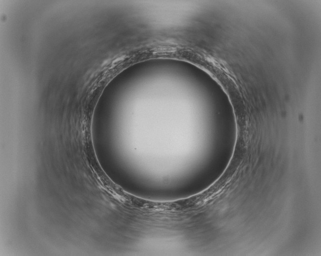 X0000088711445200705311346