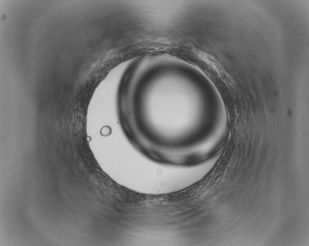 X0000088711447200705311346