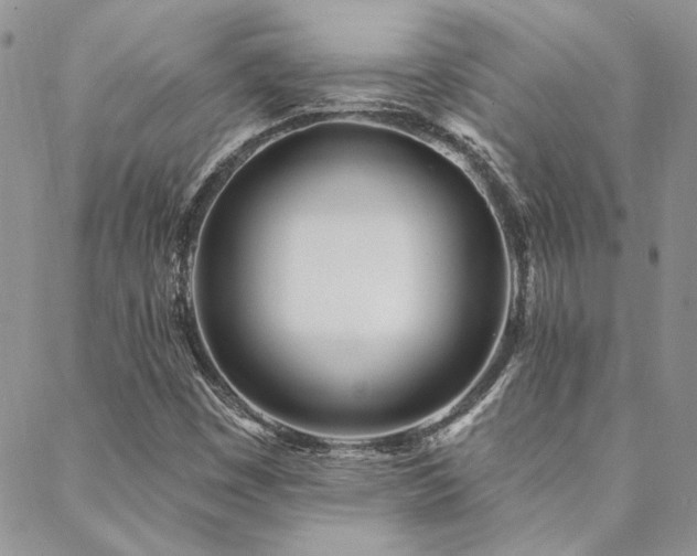 X0000088711449200705311346