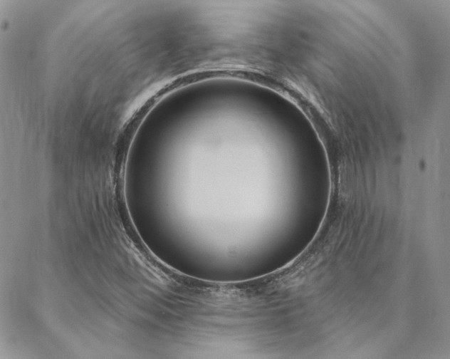 X0000088711452200705311346