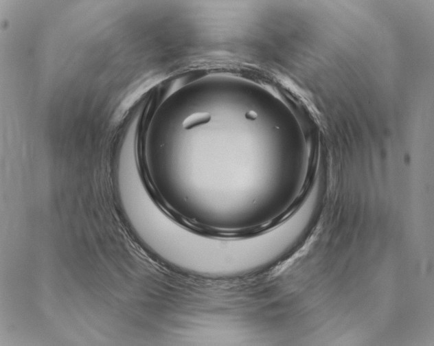 X0000088711453200705311346