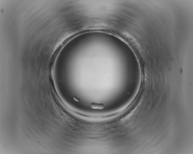 X0000088711457200705311346