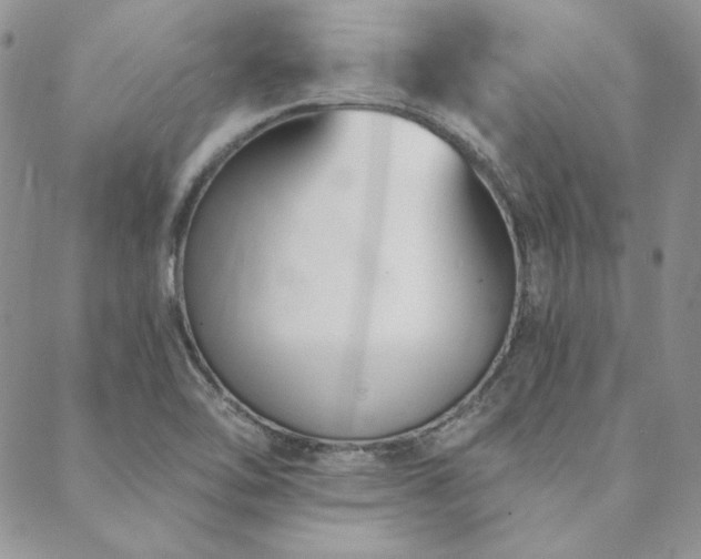 X0000088711462200705311346
