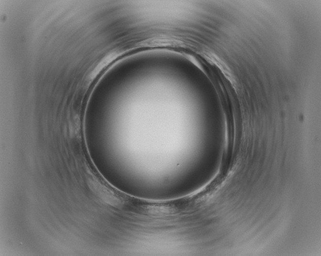 X0000088711465200705311346