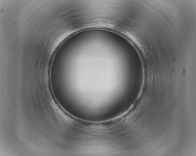 X0000088711468200705311345