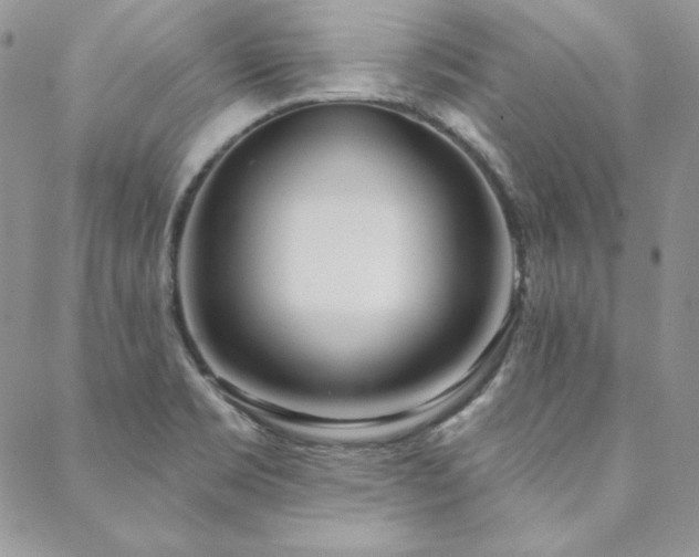 X0000088711469200705311345