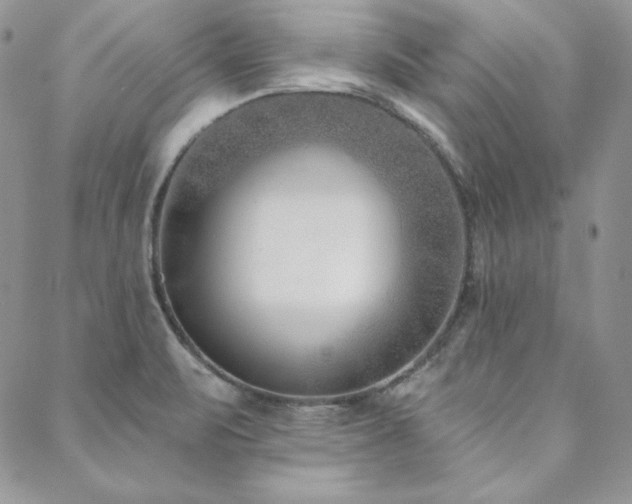 X0000088711471200705311345