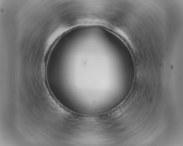 X0000088711472200705311345