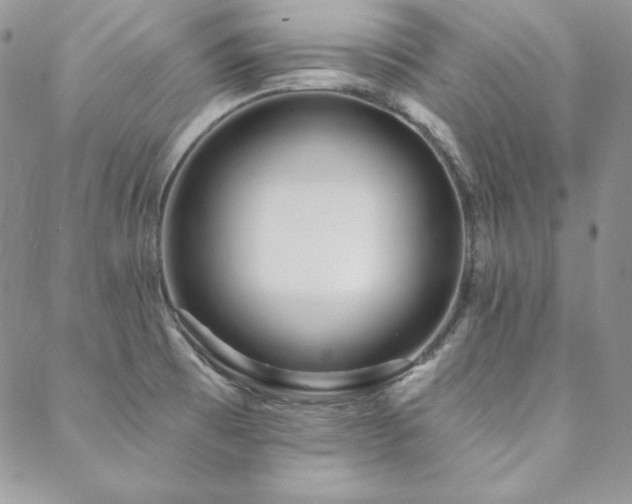 X0000088711473200705311345