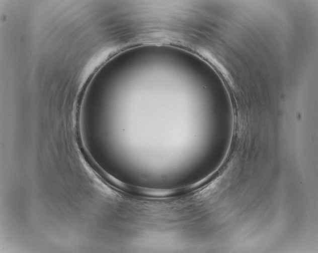 X0000088711477200705311345