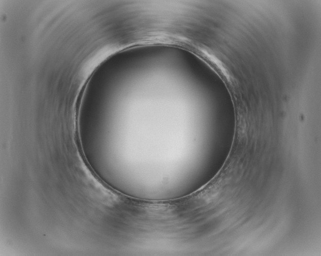 X0000088711479200705311345