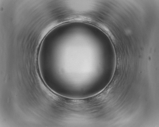 X0000088711483200705311345