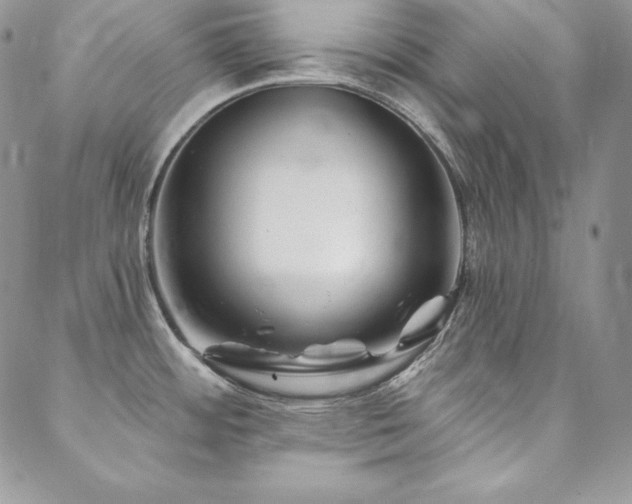 X0000088711484200705311345