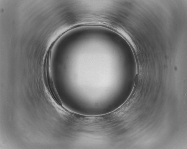 X0000088711485200705311345