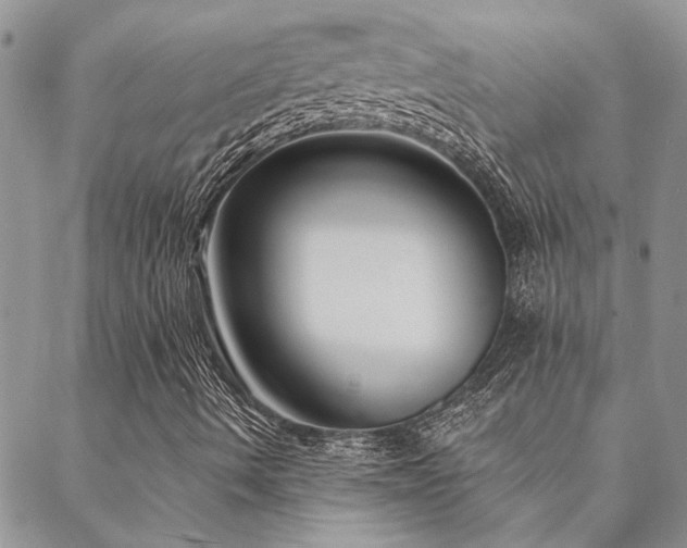 X0000088711490200705311344