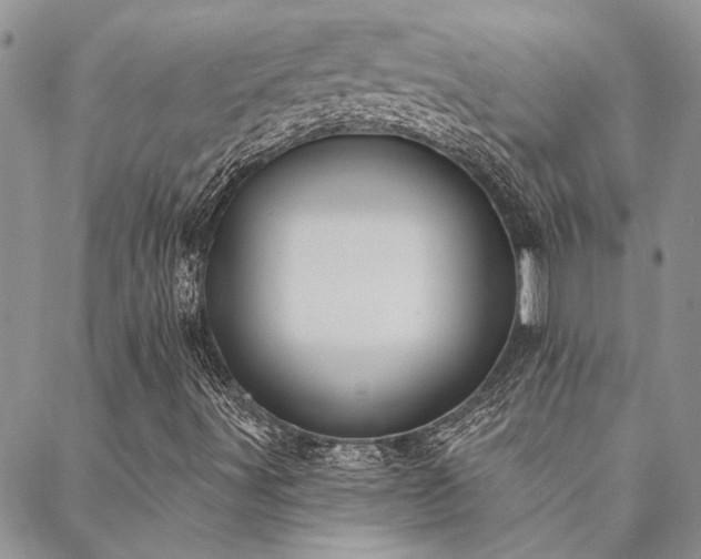 X0000088711491200705311344