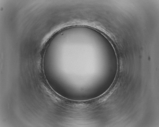 X0000088711502200705311345