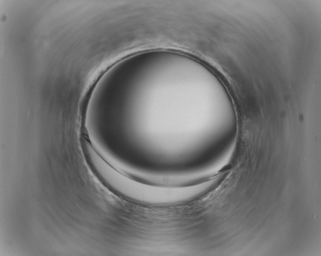 X0000088711508200705311345