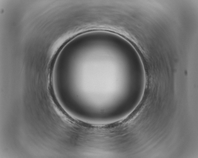 X0000088711511200705311345