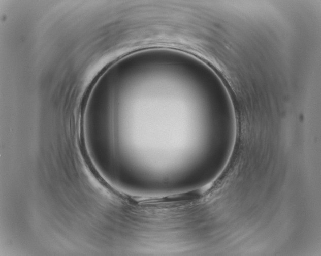 X0000088711515200705311345