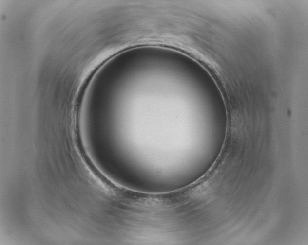 X0000088711517200705311345