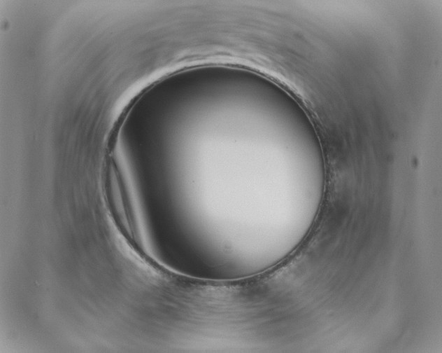 X0000088711518200705311345