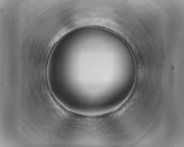 X0000088711521200705311345
