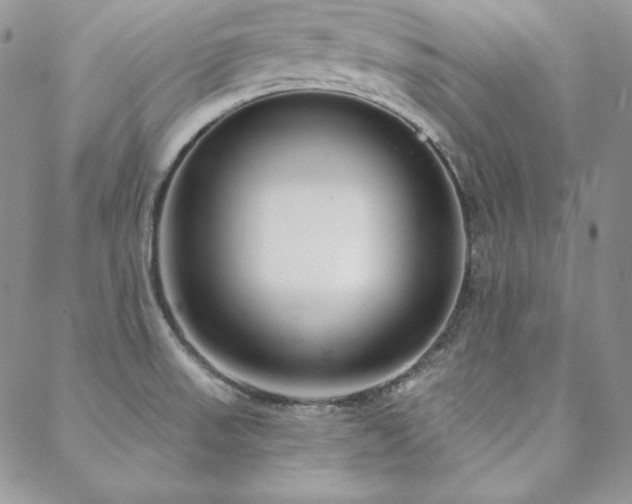 X0000088711523200705311345
