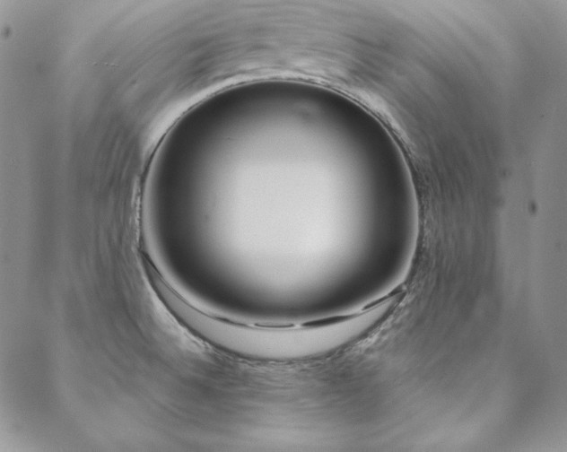 X0000088711524200705311345
