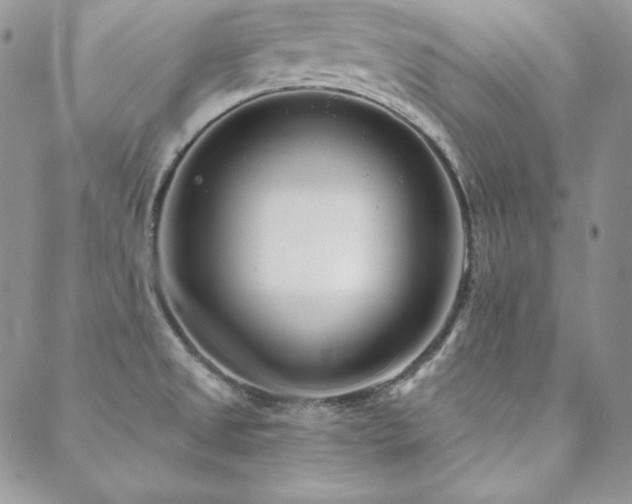 X0000088711525200705311345