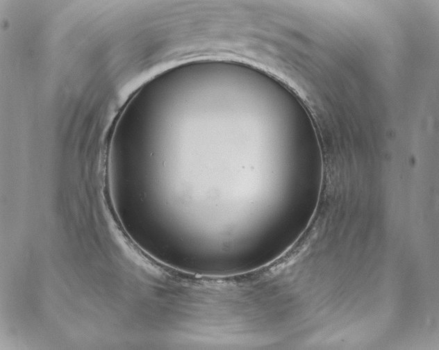 X0000088711526200705311345