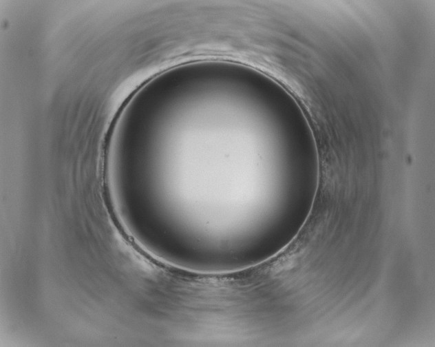 X0000088711527200705311345