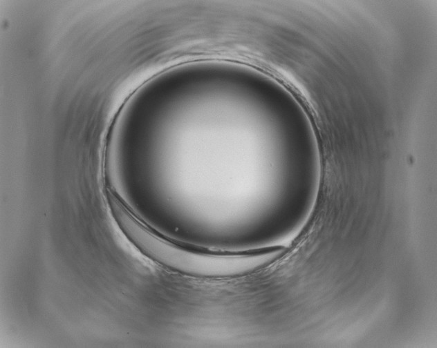 X0000088711528200705311345