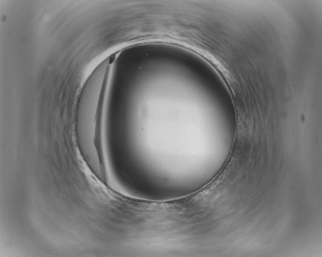 X0000088711534200705311345