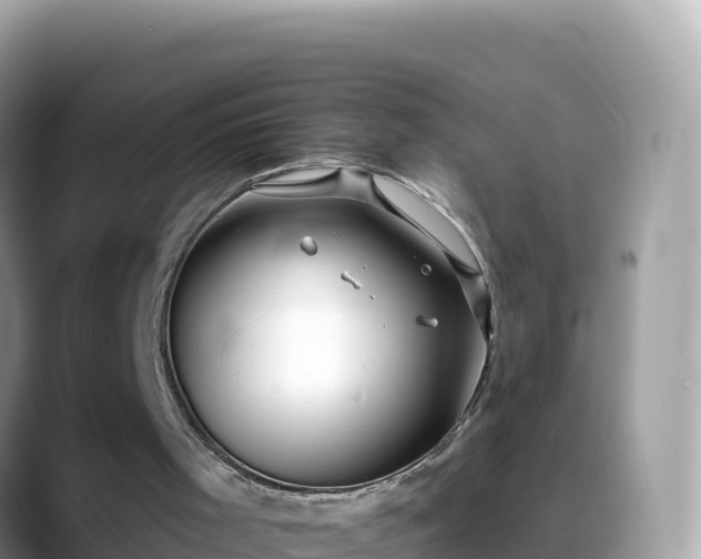 X0000088710001200706071609