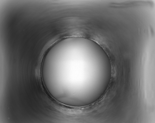 X0000088710004200706071609