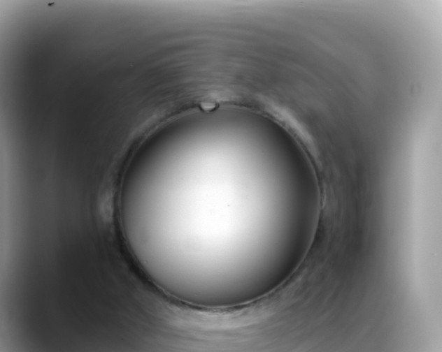 X0000088710010200706071609