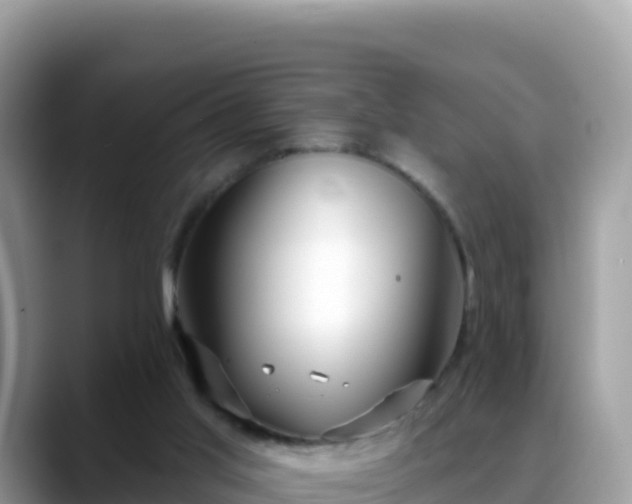 X0000088710013200706071609