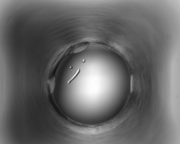 X0000088710015200706071609