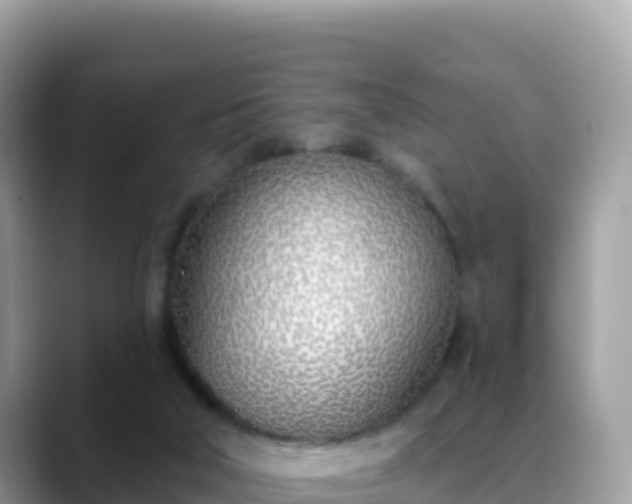 X0000088710018200706071609