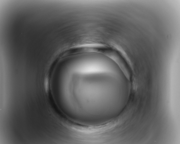 X0000088710019200706071609